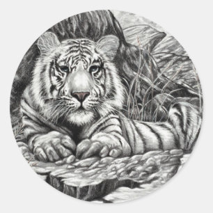 Sticker Rond TIGRE BLANC par Diana S Martin