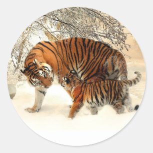 Sticker Rond Tigre et Cub, Scène d'hiver,