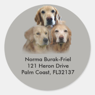 Sticker Rond Timbre d'adresse de retour Golden Retriever Trio