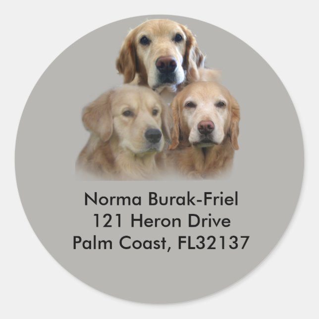 Sticker Rond Timbre d'adresse de retour Golden Retriever Trio (Devant)