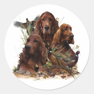 Sticker Rond Tireurs d'élite irlandais avec faisans - Passion c