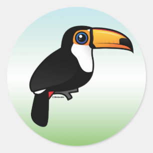 Sticker Rond Toco Toucan