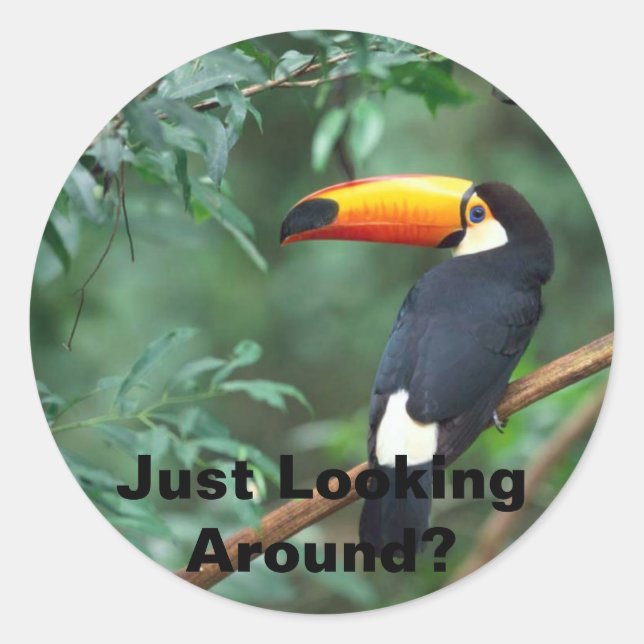 Sticker Rond Toco Toucan, Juste En Regardant Autour ? (Devant)