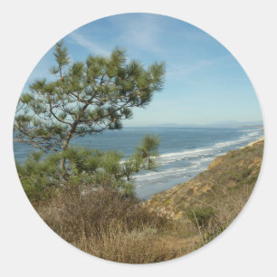 Sticker Rond Torrey Pine and California Coastline Landscape