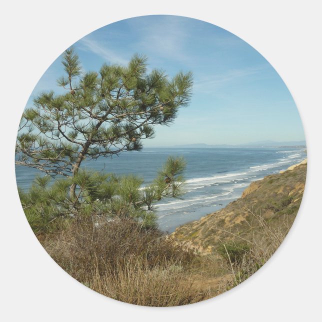 Sticker Rond Torrey Pine and California Coastline Landscape (Devant)