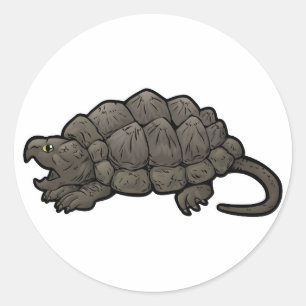Sticker Rond Tortue de rupture d'alligator