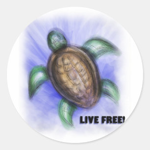 Sticker Rond Tortue libre en direct