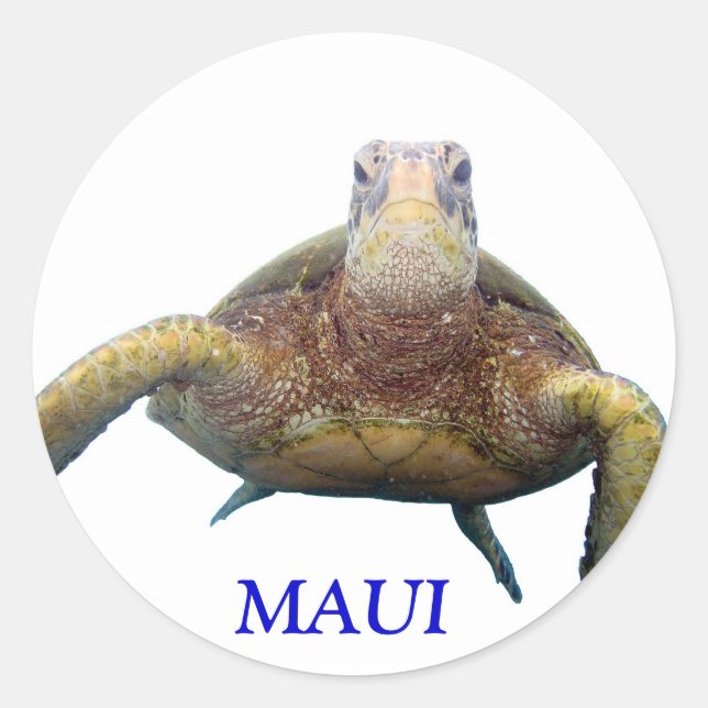 Sticker Rond Tortue, MAUI (Devant)