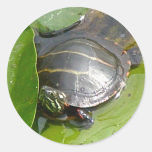 Sticker Rond Tortue peinte par bébé sur des articles de Lilypad
