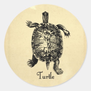 Sticker Rond TORTUE vintage