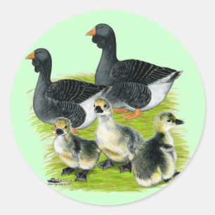 Sticker Rond Toulouse Goose