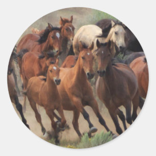 Sticker Rond Tour d'horizon des chevaux sauvages