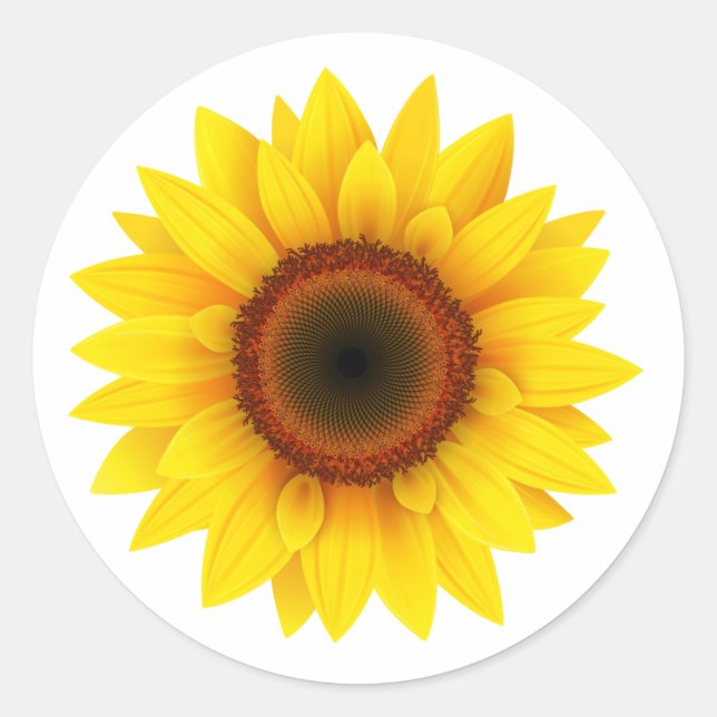 Sticker Rond Tournesol (Devant)