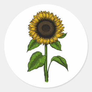 Sticker Rond Tournesol