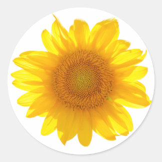 Sticker Rond Tournesol