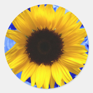 Sticker Rond Tournesol