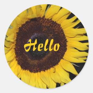 Sticker Rond Tournesol, Bonjour