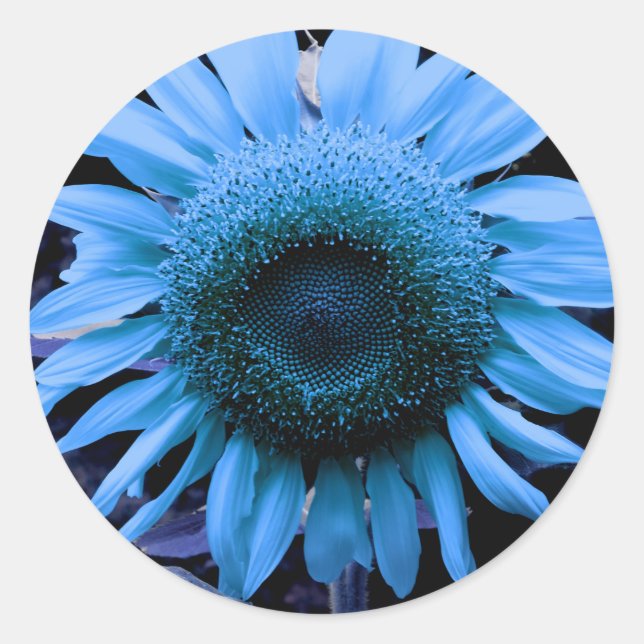 Sticker Rond Tournesol, fleur bleue, floral bleu rétro (Devant)