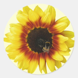 Sticker Rond Tournesol jaune Orange avec Bumble Bee et Pollen