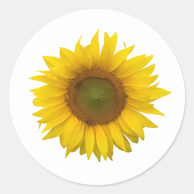 Sticker Rond Tournesol Jaune rustique (Devant)