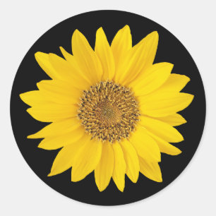 Sticker Rond Tournesol jaune sur noir