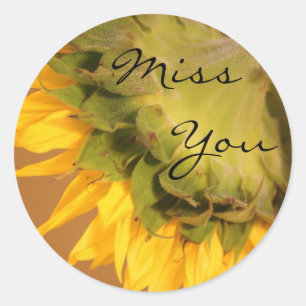 Sticker Rond Tournesol, Mlle You