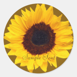 Sticker Rond Tournesol PixDezine/do-it-yourself couleur arrière
