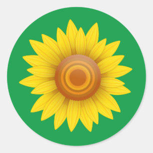Sticker Rond Tournesol vert