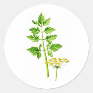 Sticker Rond Tout ce dont vous avez besoin est Lovage