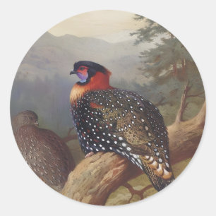Sticker Rond Tragopan occidental, Illustrations d'oiseaux