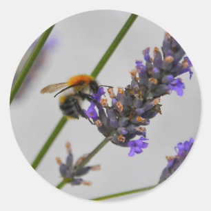 Sticker Rond Travailleurs Merveilleux de la Nature