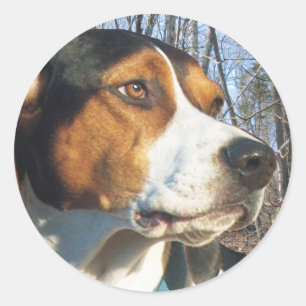 Sticker Rond Trek Walker Coonhound En Bois