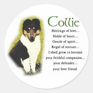 Sticker Rond Tri Color Rough Collie Toxits