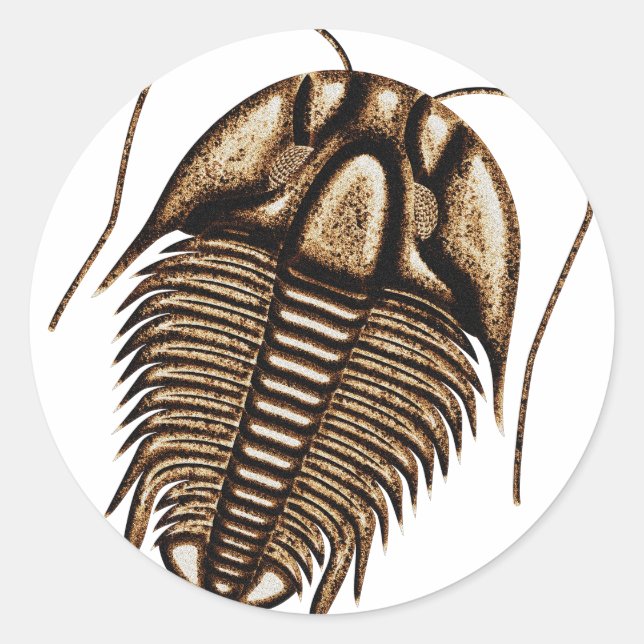 Sticker Rond Trilobite (Devant)