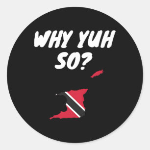 Sticker Rond Trini Pride Flag Dna