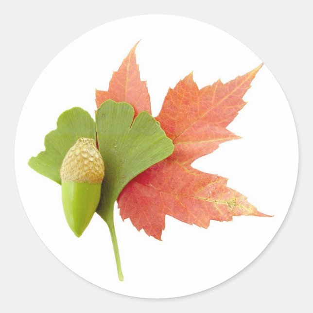 Sticker Rond Trio d'automne (Devant)