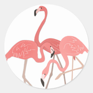 Sticker Rond Trio Flamant rose