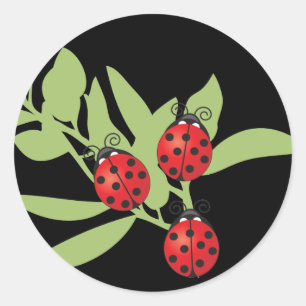 Sticker Rond Trois Lucky Ladybugs