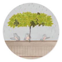 Trois oiseaux sous la pluie