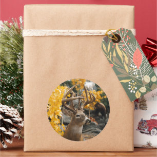 Sticker Rond Trophée Deer