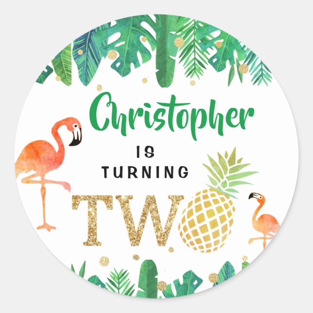 Sticker Rond Tropical Summer Beach Luau Boys 2e anniversaire (Devant)