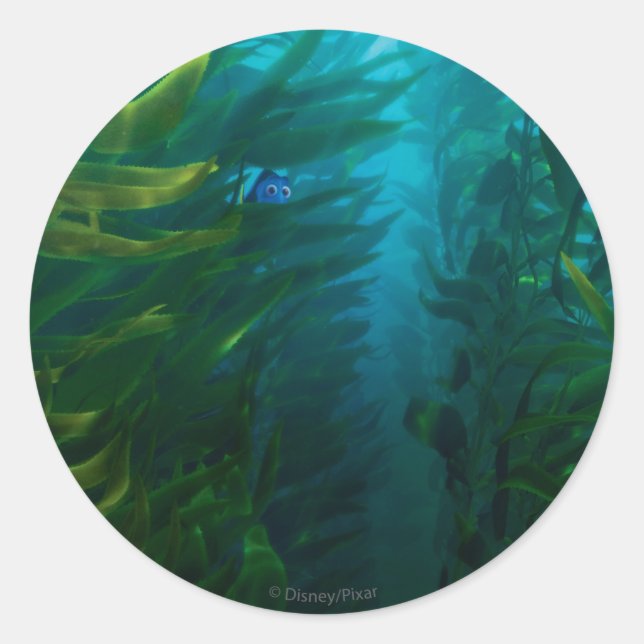 Sticker Rond Trouver Dory | Cacher et rechercher - Kelp de mer (Devant)