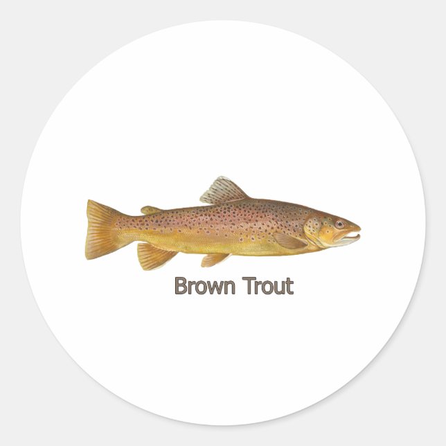 Sticker Rond Truite Brown allemande (Devant)