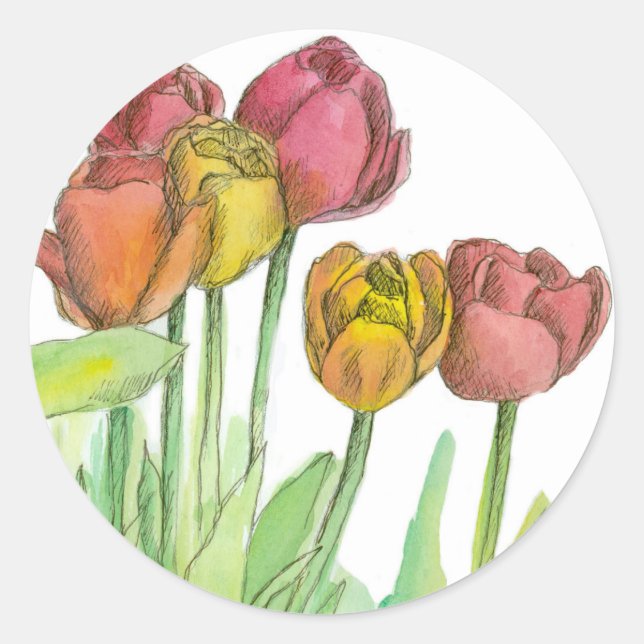 Sticker Rond Tulip Aquarelle Fleurs Saumon Rose Art Floral (Devant)