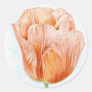 Sticker Rond Tulipe colorée à la Pêche
