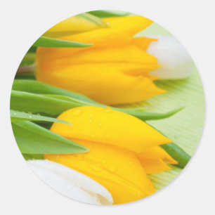 Sticker Rond Tulipe jaune