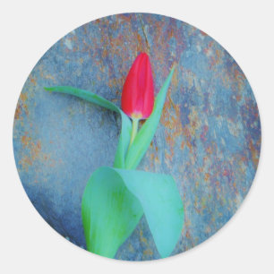 Sticker Rond Tulipe rouge sur ardoise gris bleu