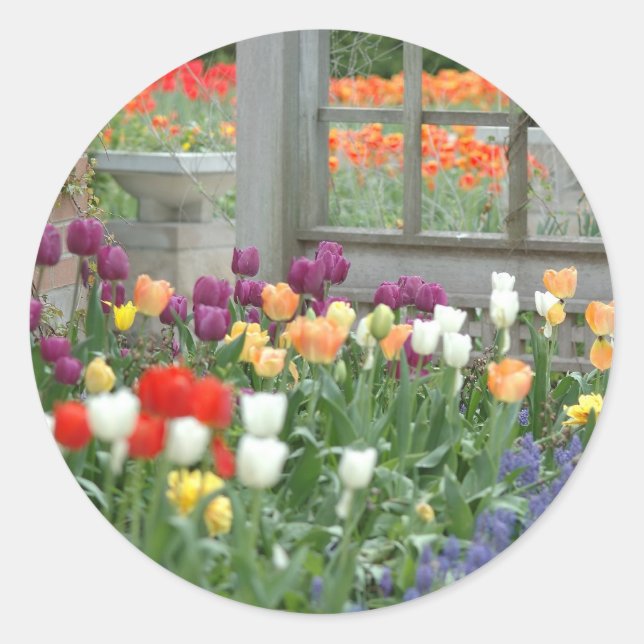 Sticker Rond tulipes (Devant)