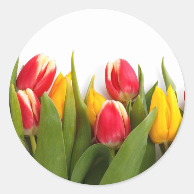 Sticker Rond Tulipes colorées (Devant)