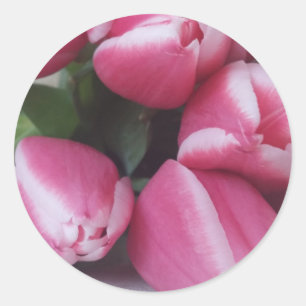 Sticker Rond Tulipes roses